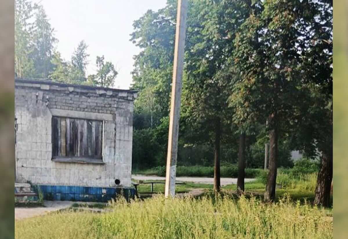 Гадюка вкусила хлопчика / Фото: Суспільному Житомир